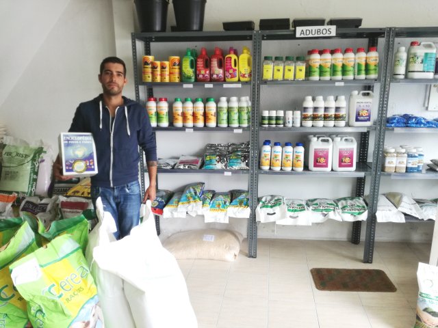 mauro homem insecta